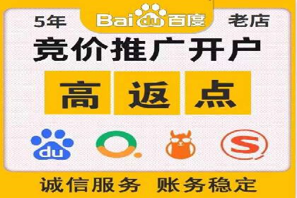 百度竞价广告投放策略：案例分析及优化建议